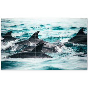 dolphin ceramic tile wall mural kitchen backsplash bathroom shower p500530