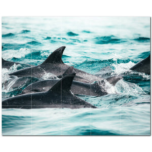 dolphin ceramic tile wall mural kitchen backsplash bathroom shower p500530