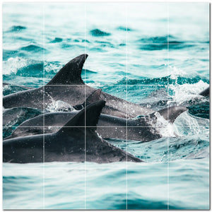 dolphin ceramic tile wall mural kitchen backsplash bathroom shower p500530