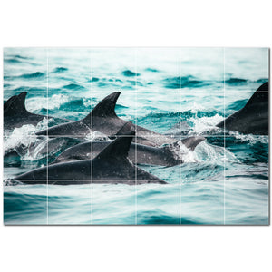 dolphin ceramic tile wall mural kitchen backsplash bathroom shower p500530