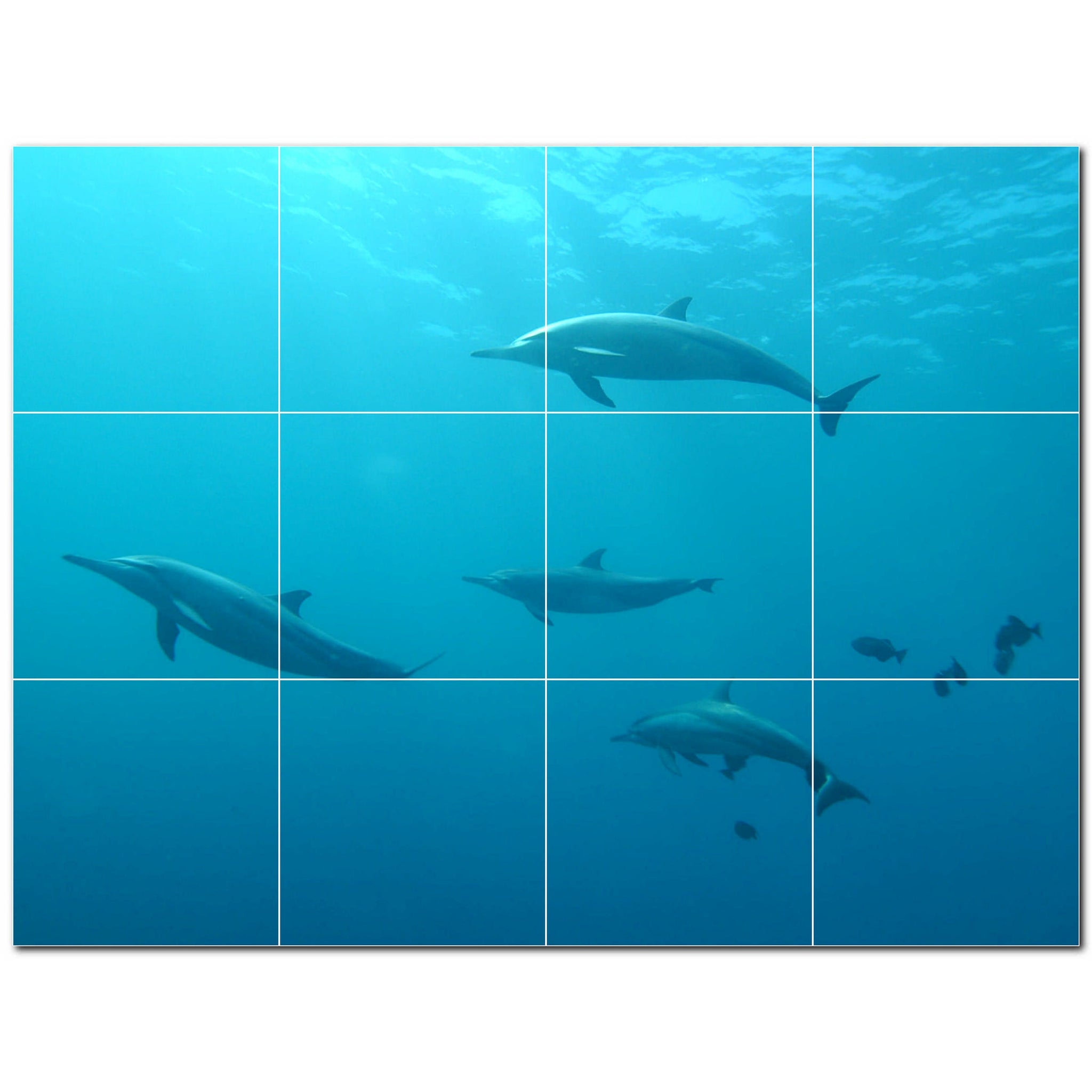 dolphin ceramic tile wall mural kitchen backsplash bathroom shower p500531