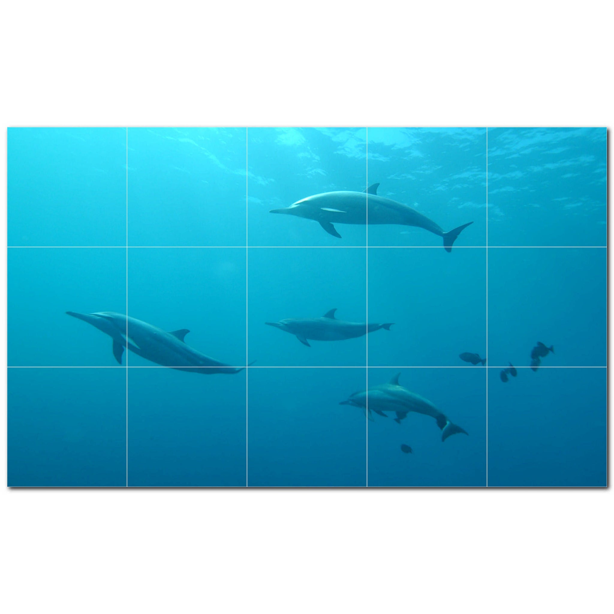 dolphin ceramic tile wall mural kitchen backsplash bathroom shower p500531