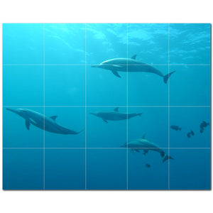 dolphin ceramic tile wall mural kitchen backsplash bathroom shower p500531