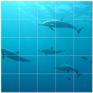 dolphin ceramic tile wall mural kitchen backsplash bathroom shower p500531