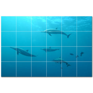 dolphin ceramic tile wall mural kitchen backsplash bathroom shower p500531