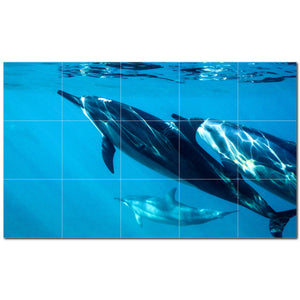 dolphin ceramic tile wall mural kitchen backsplash bathroom shower p500532