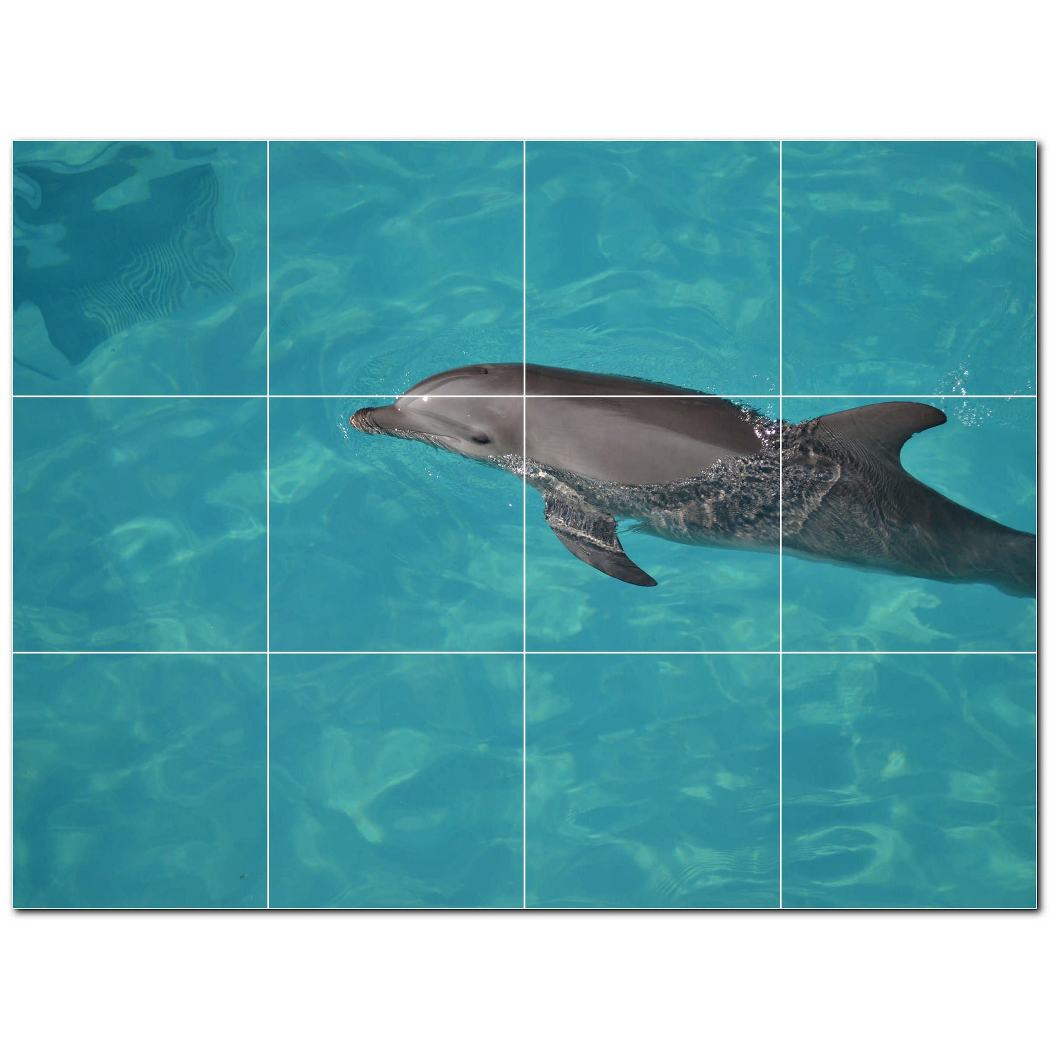 dolphin ceramic tile wall mural kitchen backsplash bathroom shower p500533