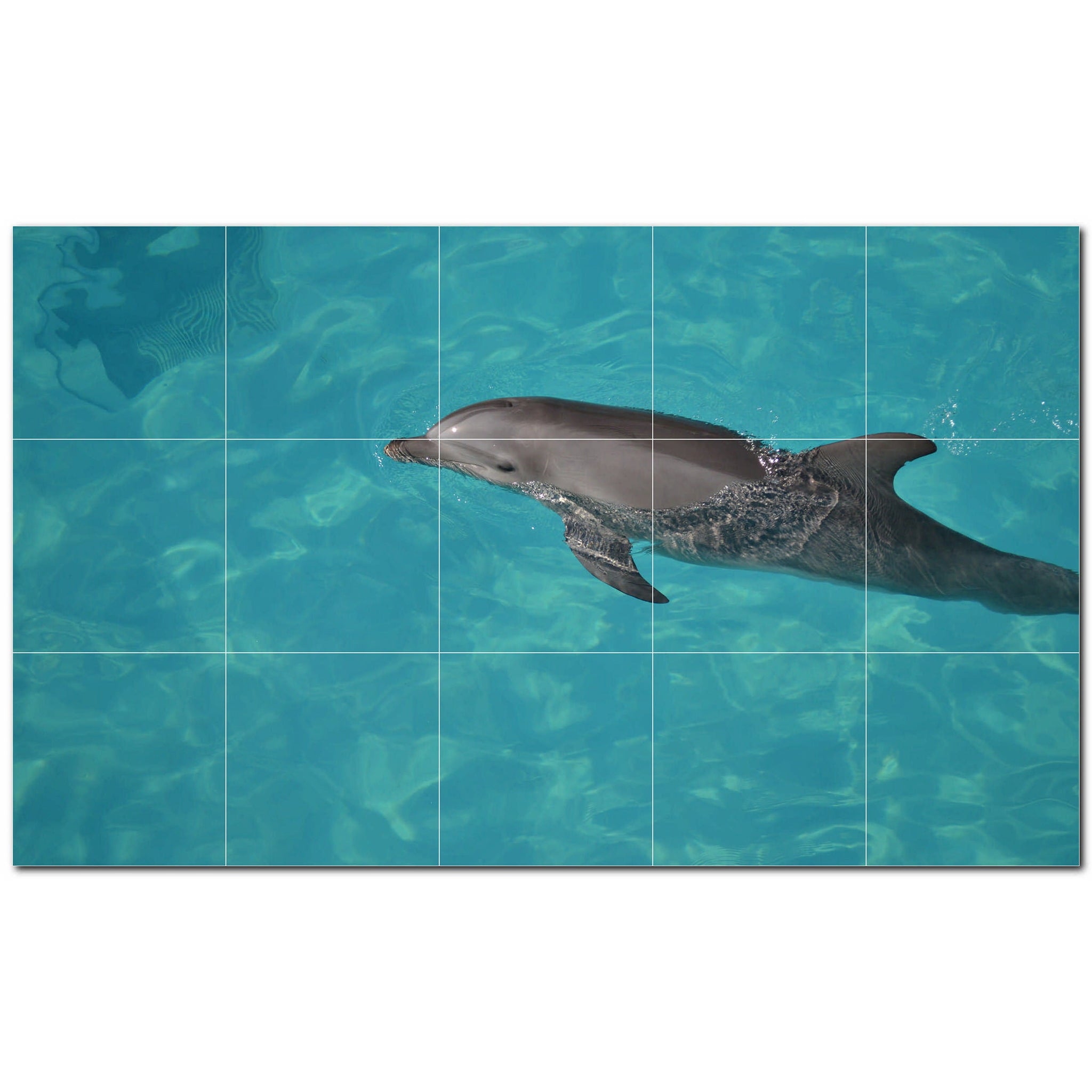 dolphin ceramic tile wall mural kitchen backsplash bathroom shower p500533