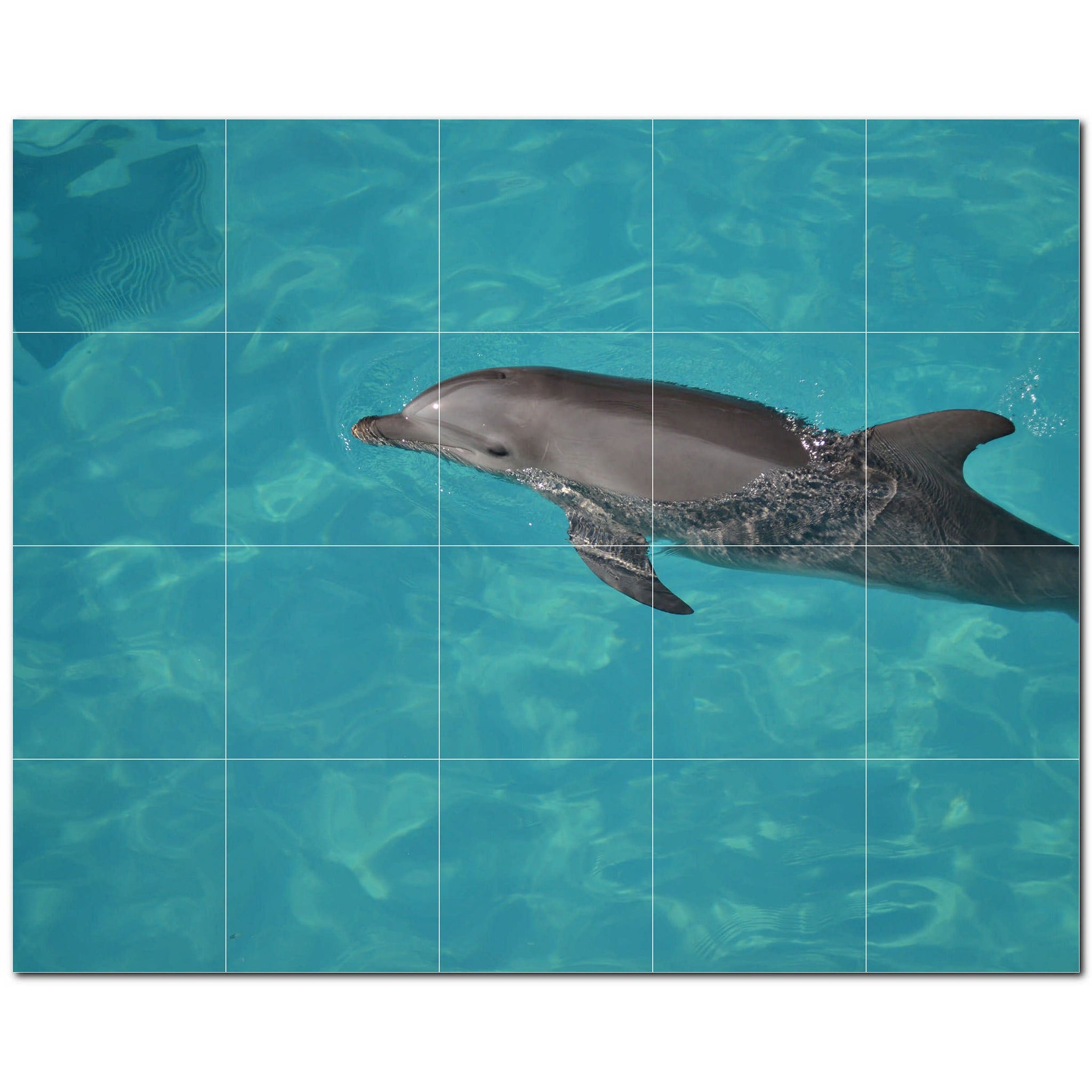 dolphin ceramic tile wall mural kitchen backsplash bathroom shower p500533