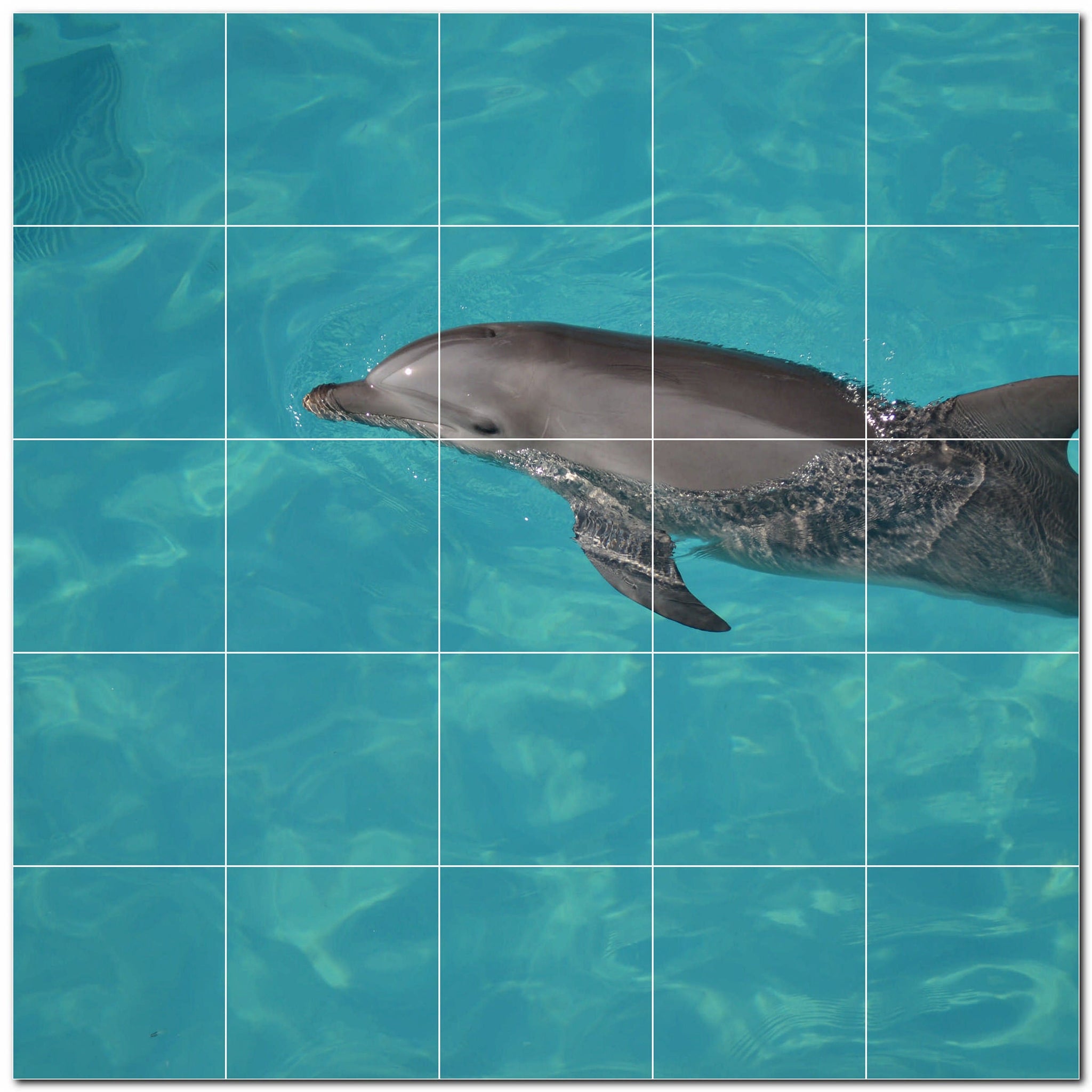 dolphin ceramic tile wall mural kitchen backsplash bathroom shower p500533