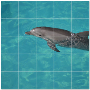 dolphin ceramic tile wall mural kitchen backsplash bathroom shower p500533