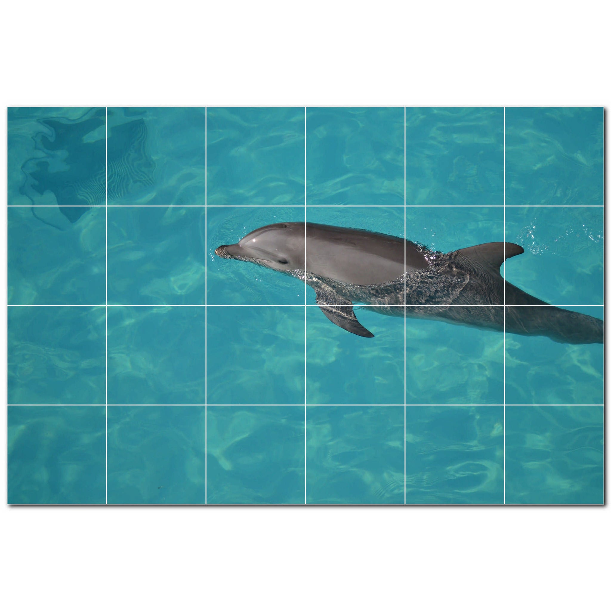 dolphin ceramic tile wall mural kitchen backsplash bathroom shower p500533