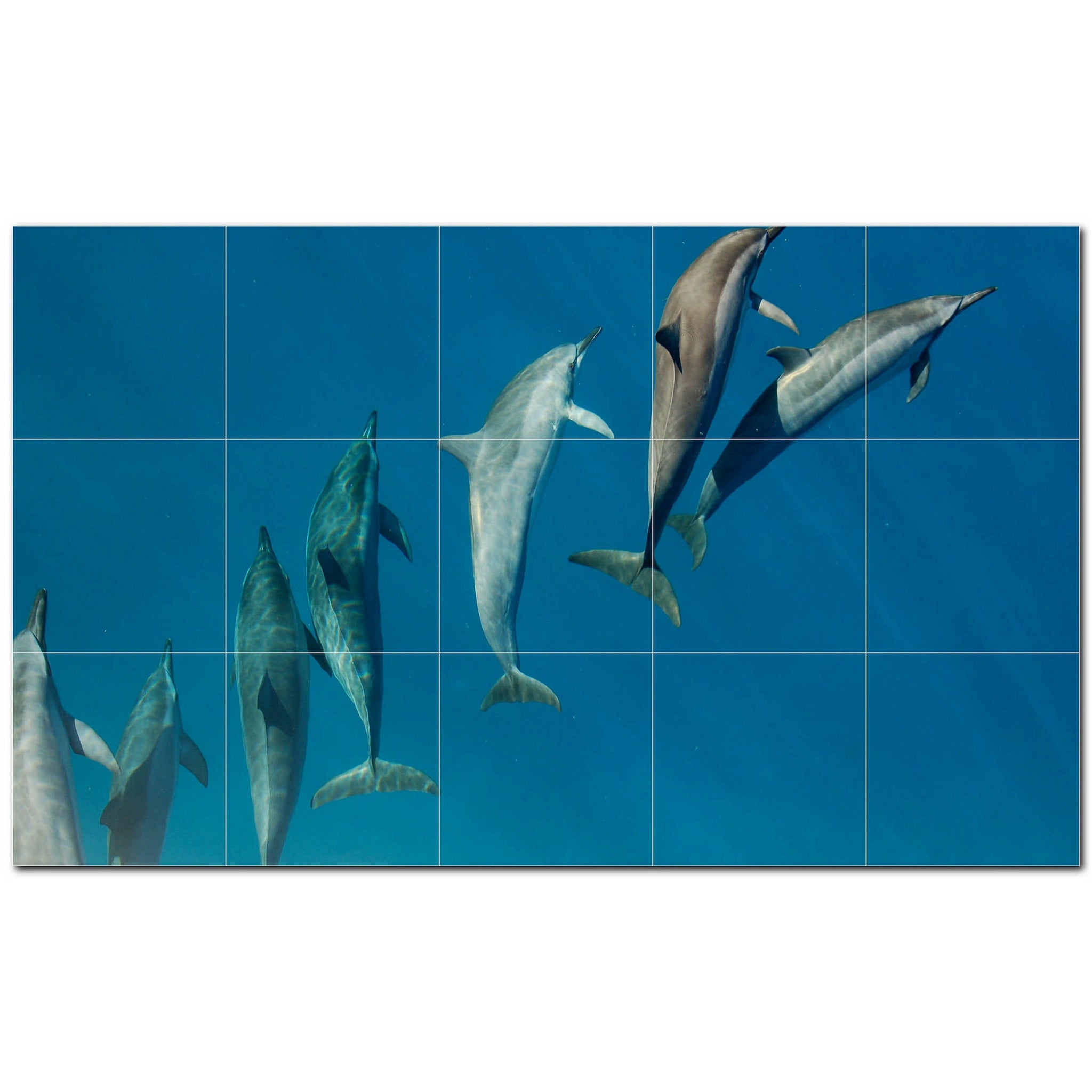 dolphin ceramic tile wall mural kitchen backsplash bathroom shower p500534