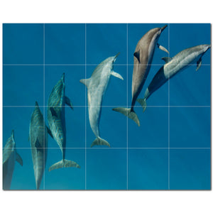 dolphin ceramic tile wall mural kitchen backsplash bathroom shower p500534