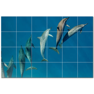dolphin ceramic tile wall mural kitchen backsplash bathroom shower p500534