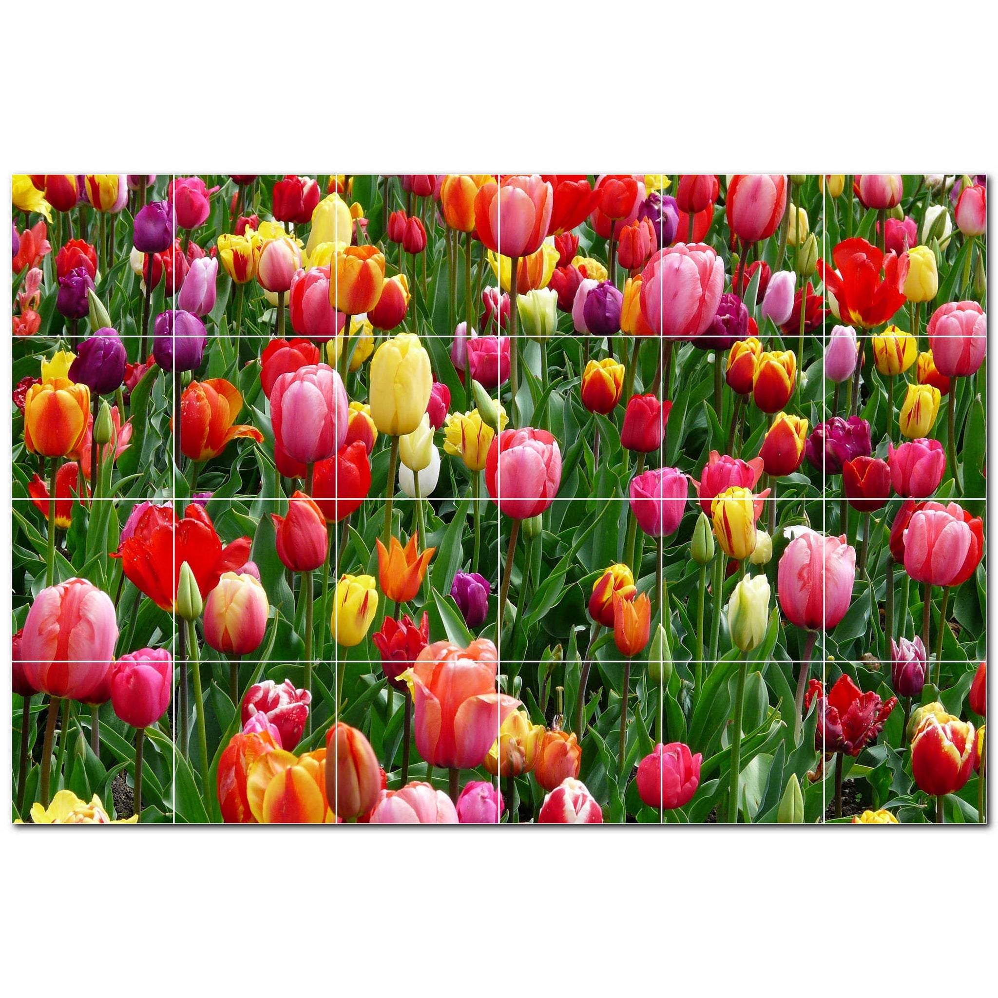 flowers ceramic tile wall mural kitchen backsplash bathroom shower p500651