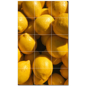 fruit ceramic tile wall mural kitchen backsplash bathroom shower p500668