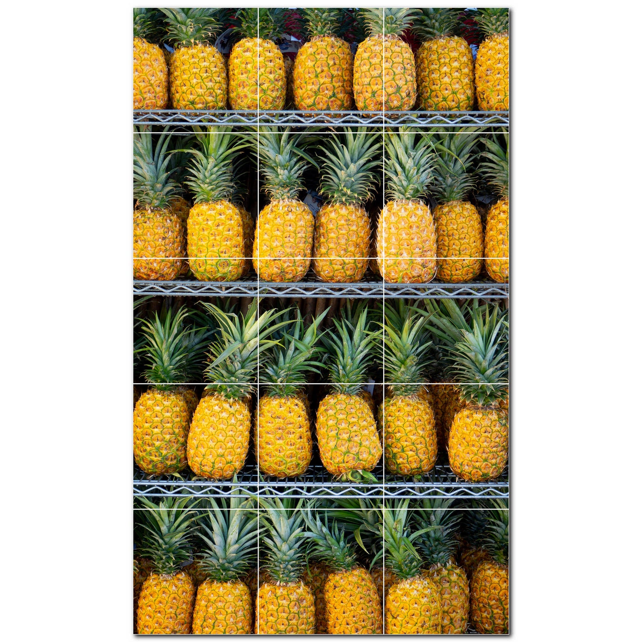 fruit ceramic tile wall mural kitchen backsplash bathroom shower p500671