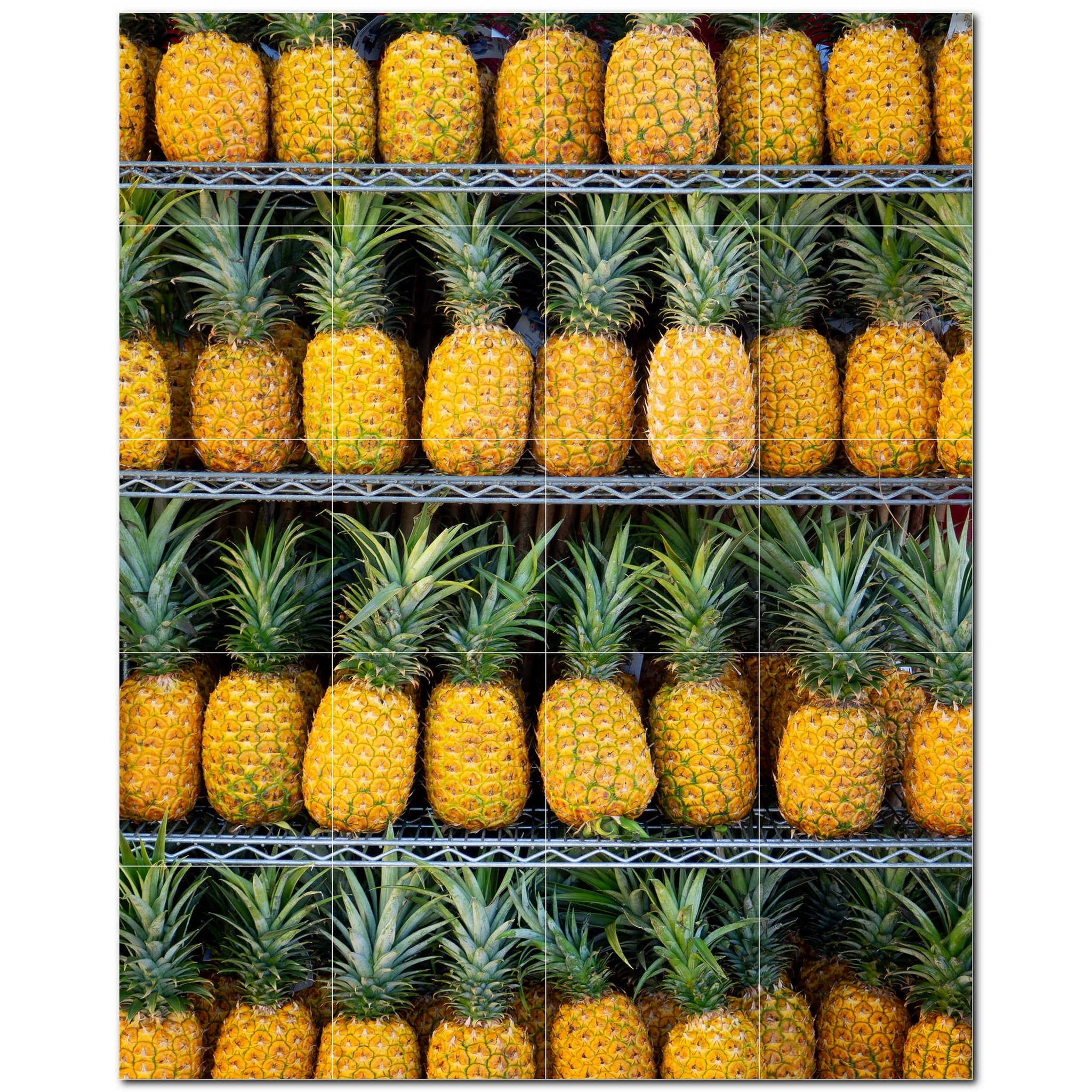 fruit ceramic tile wall mural kitchen backsplash bathroom shower p500671