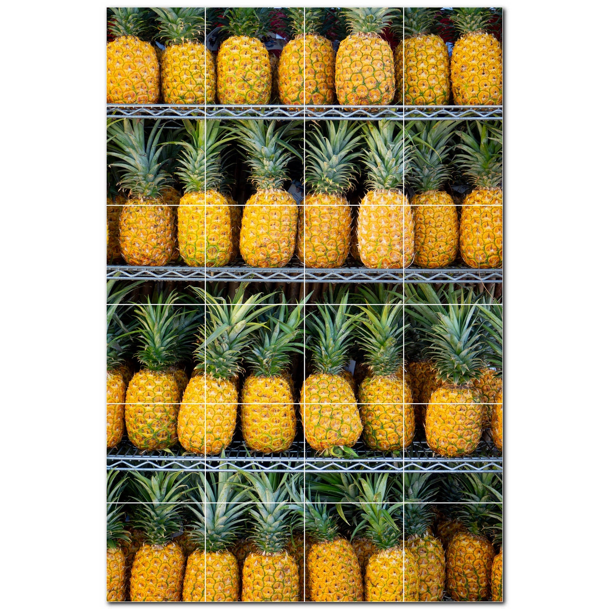 fruit ceramic tile wall mural kitchen backsplash bathroom shower p500671