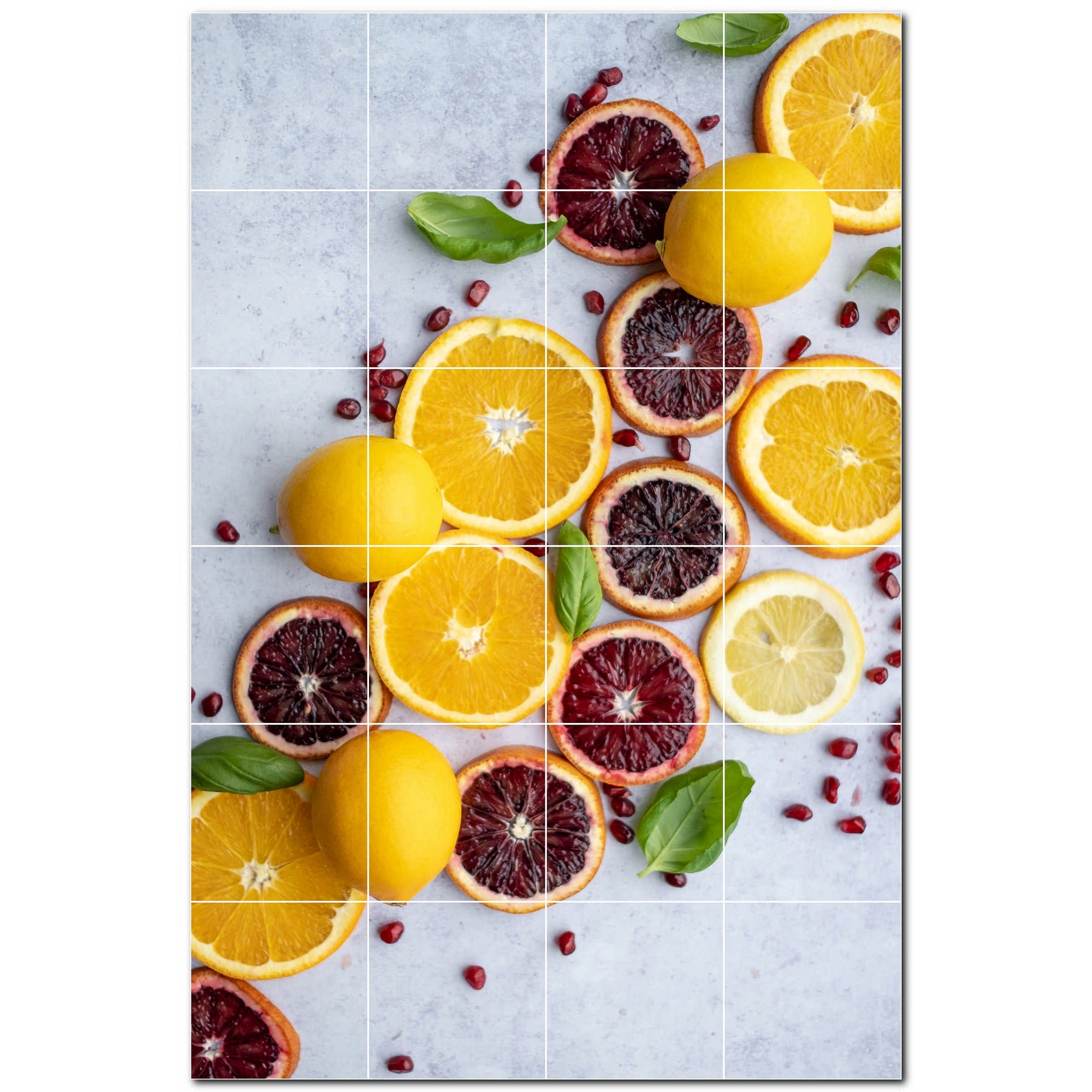 fruit ceramic tile wall mural kitchen backsplash bathroom shower p500672