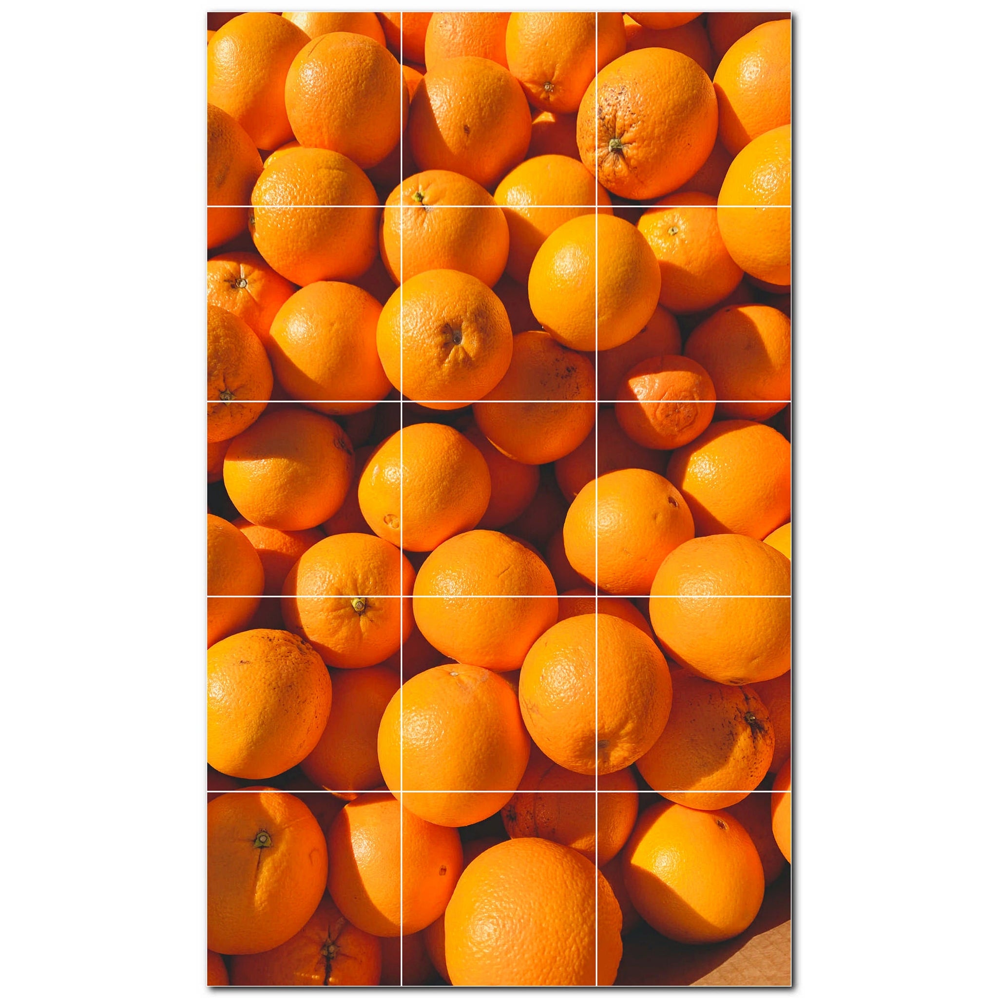 fruit ceramic tile wall mural kitchen backsplash bathroom shower p500674