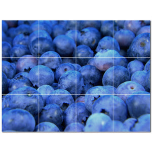 fruit ceramic tile wall mural kitchen backsplash bathroom shower p500676