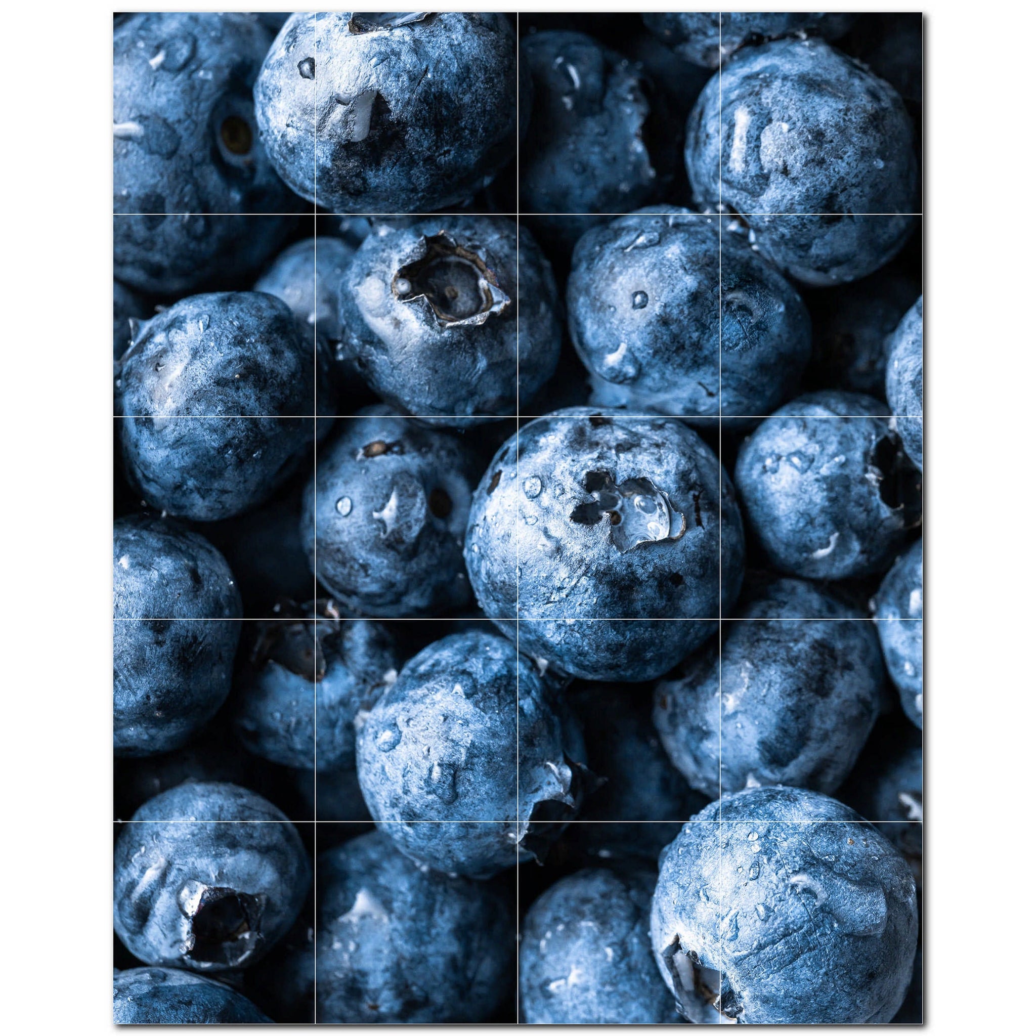 fruit ceramic tile wall mural kitchen backsplash bathroom shower p500680