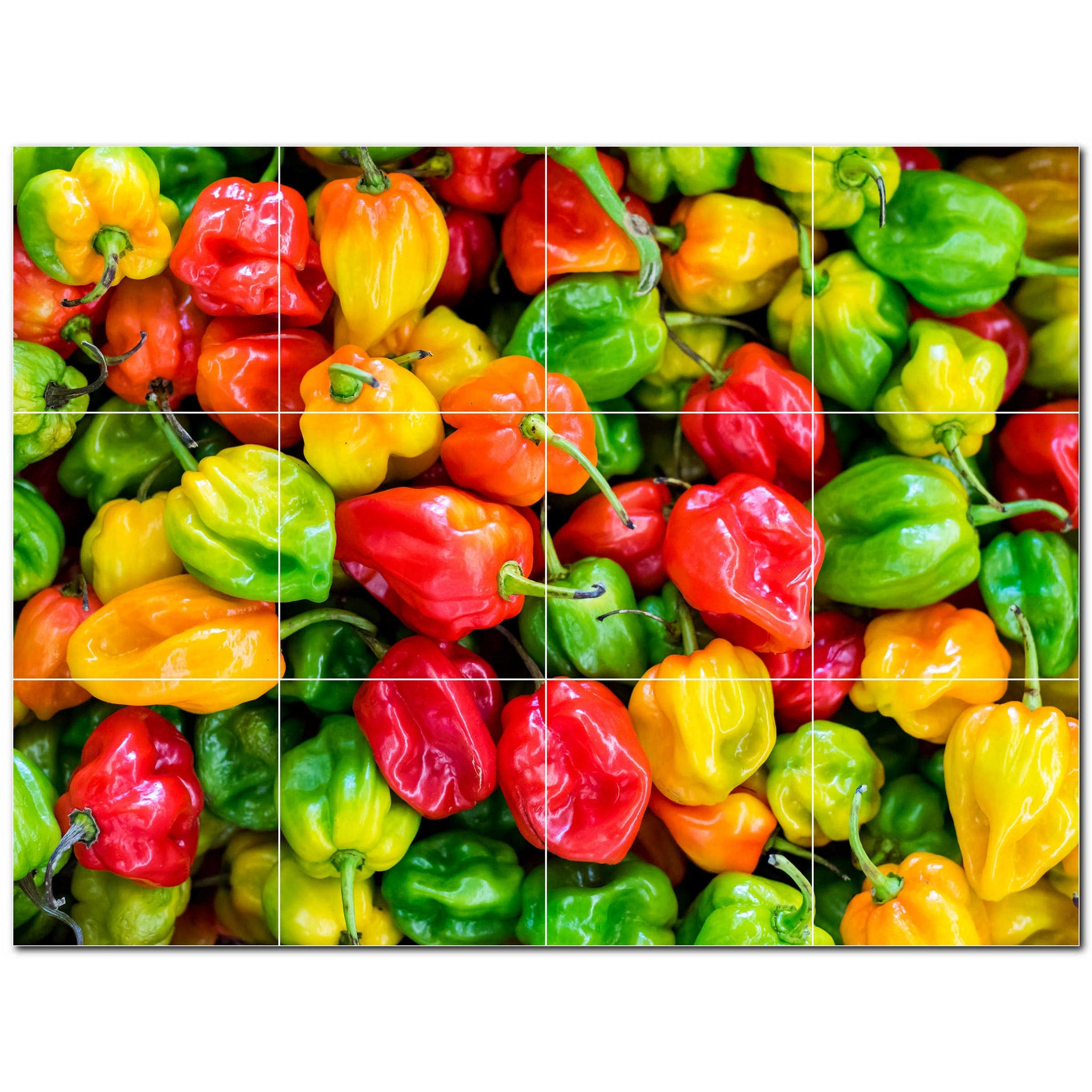 fruit ceramic tile wall mural kitchen backsplash bathroom shower p500686