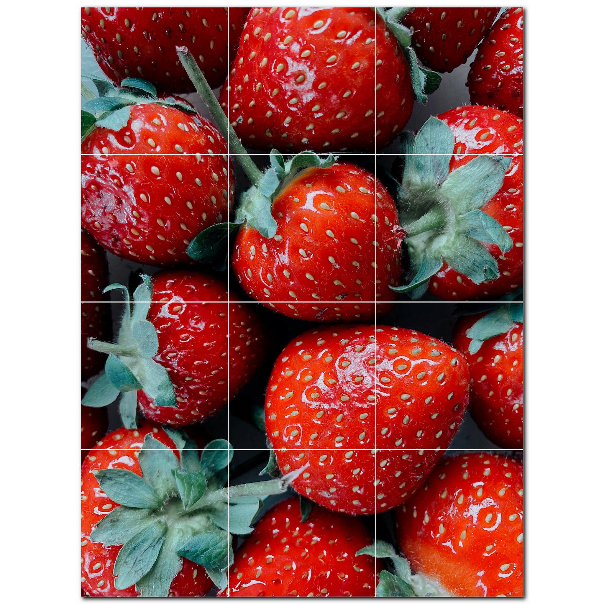 fruit ceramic tile wall mural kitchen backsplash bathroom shower p500688