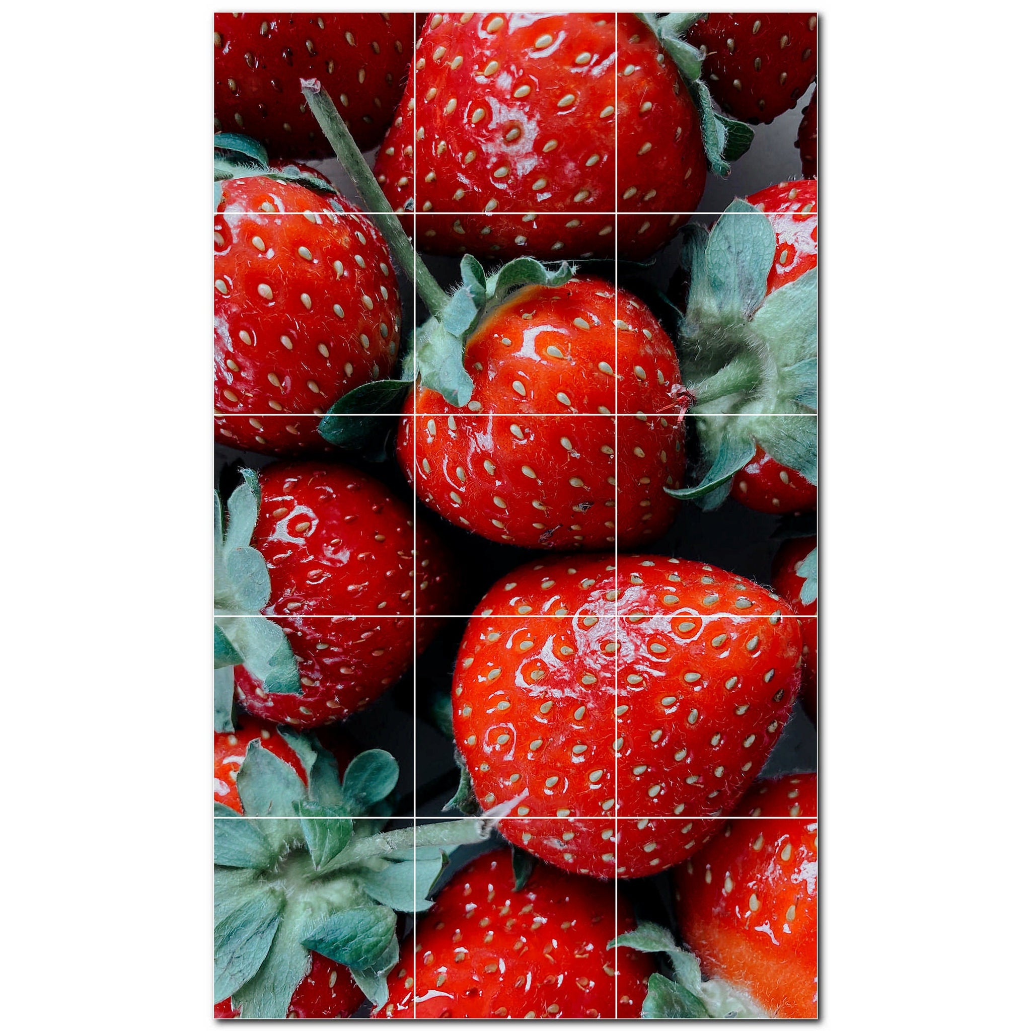 fruit ceramic tile wall mural kitchen backsplash bathroom shower p500688