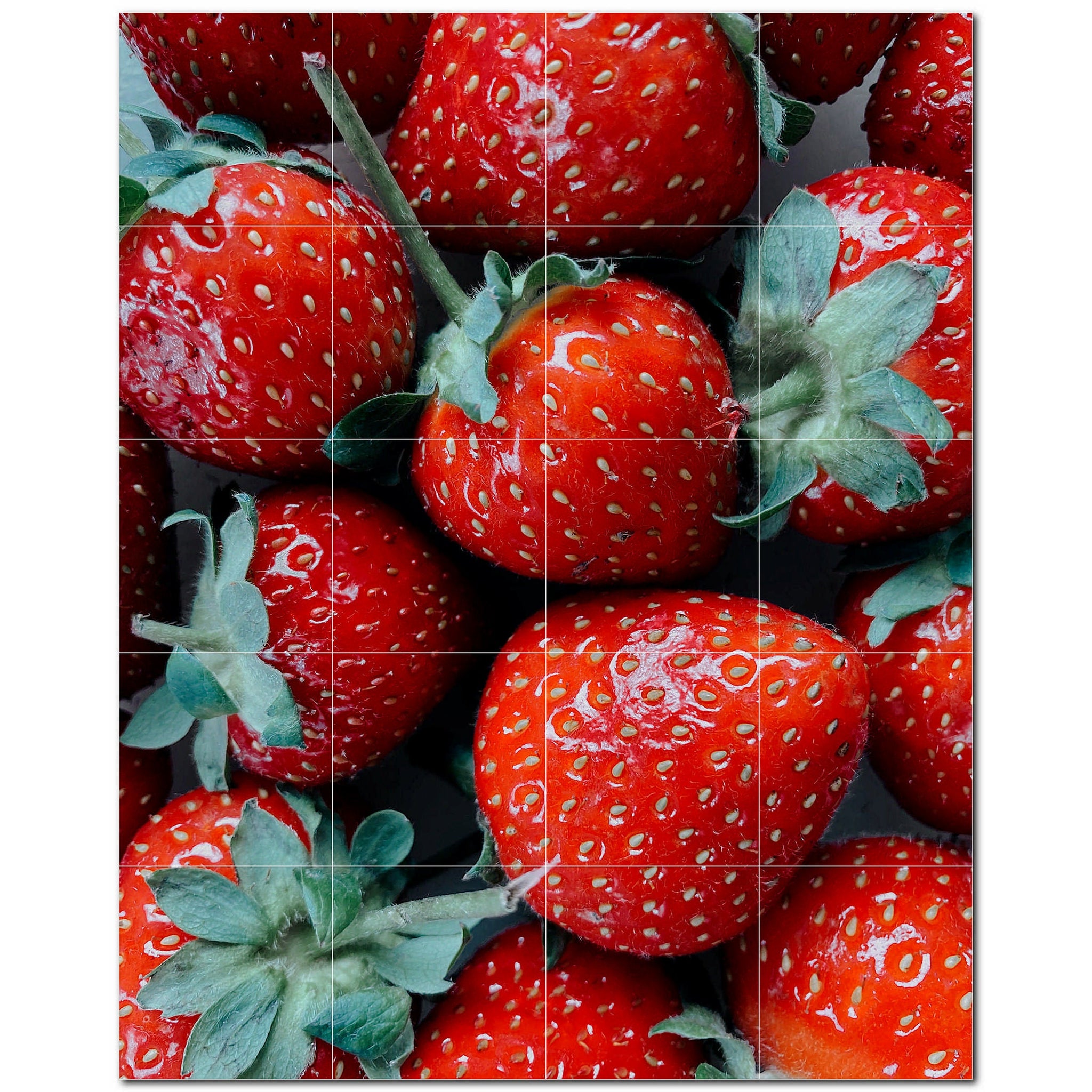 fruit ceramic tile wall mural kitchen backsplash bathroom shower p500688