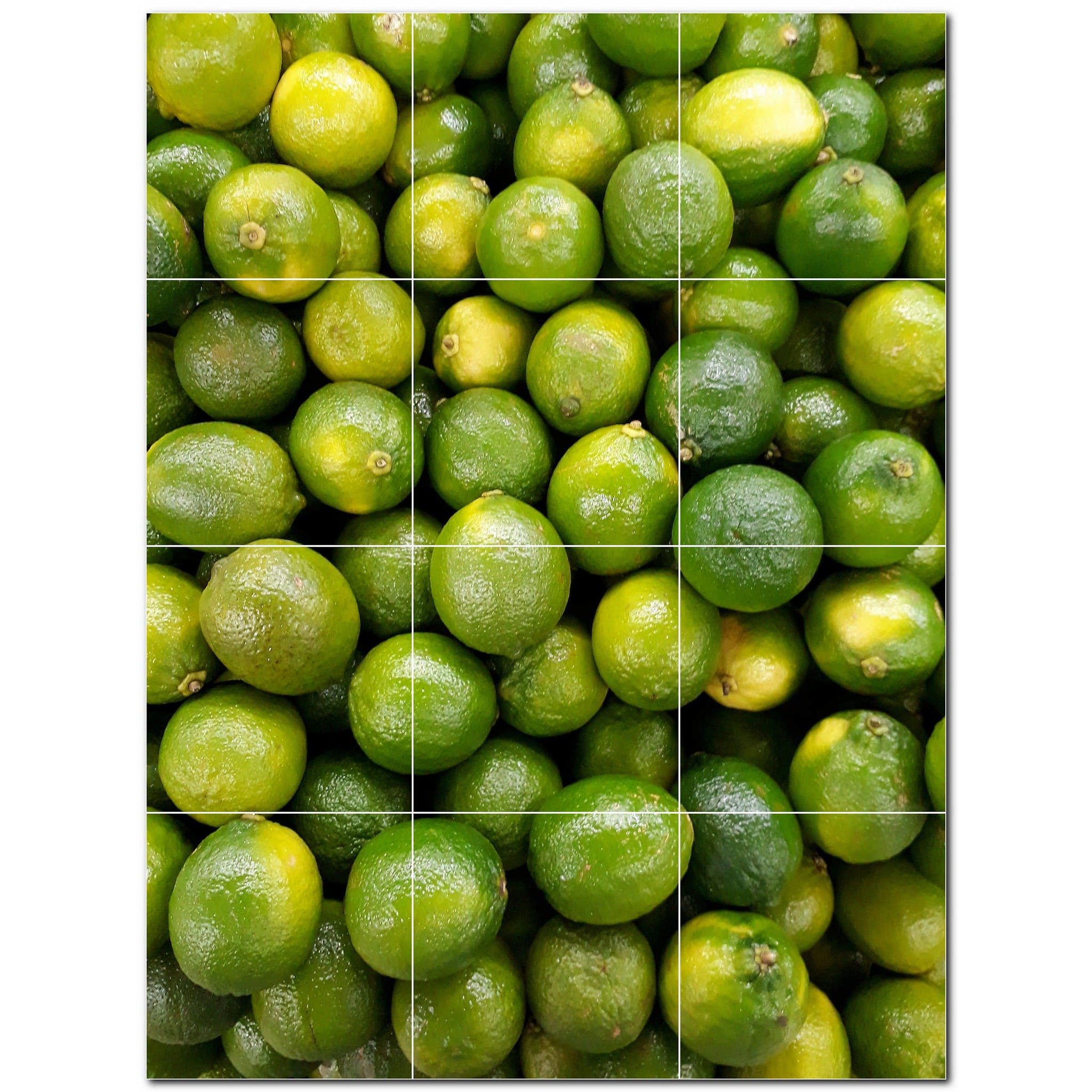 fruit ceramic tile wall mural kitchen backsplash bathroom shower p500690