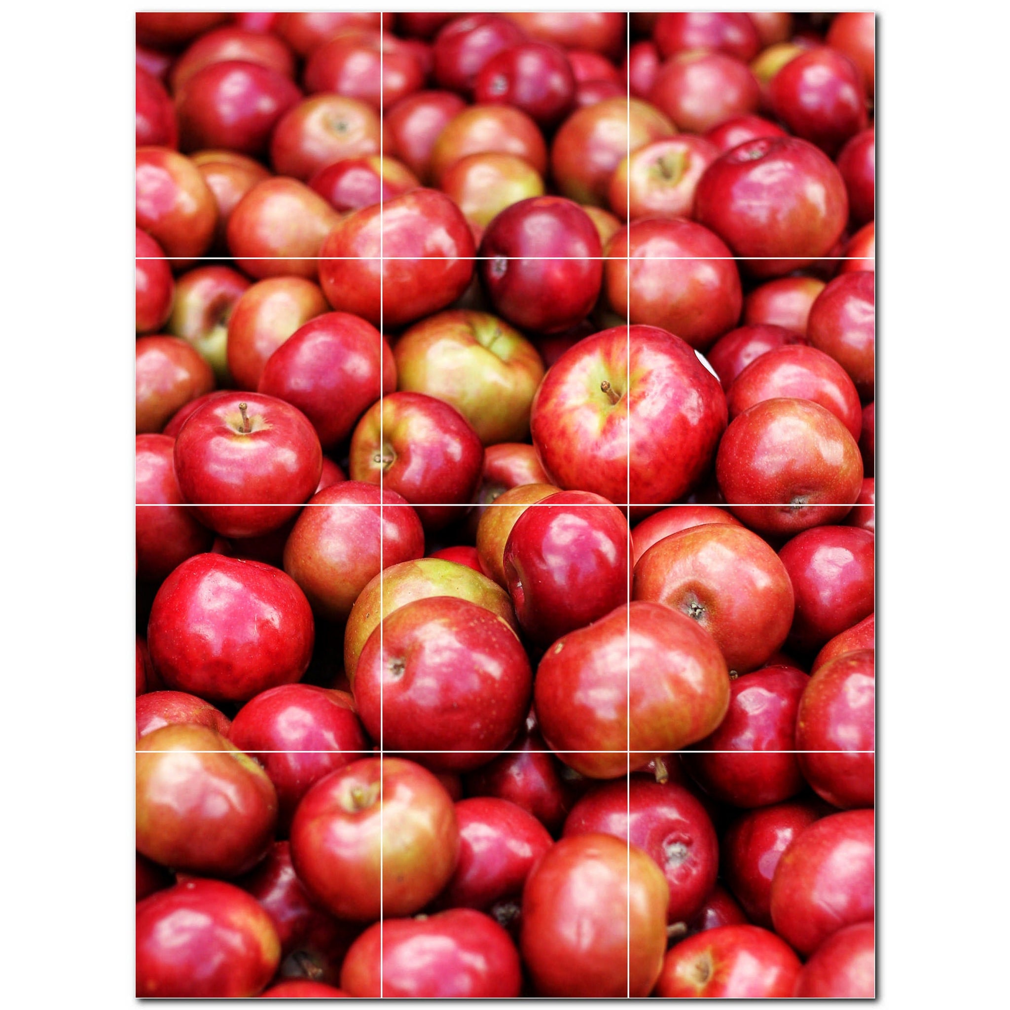 fruit ceramic tile wall mural kitchen backsplash bathroom shower p500691