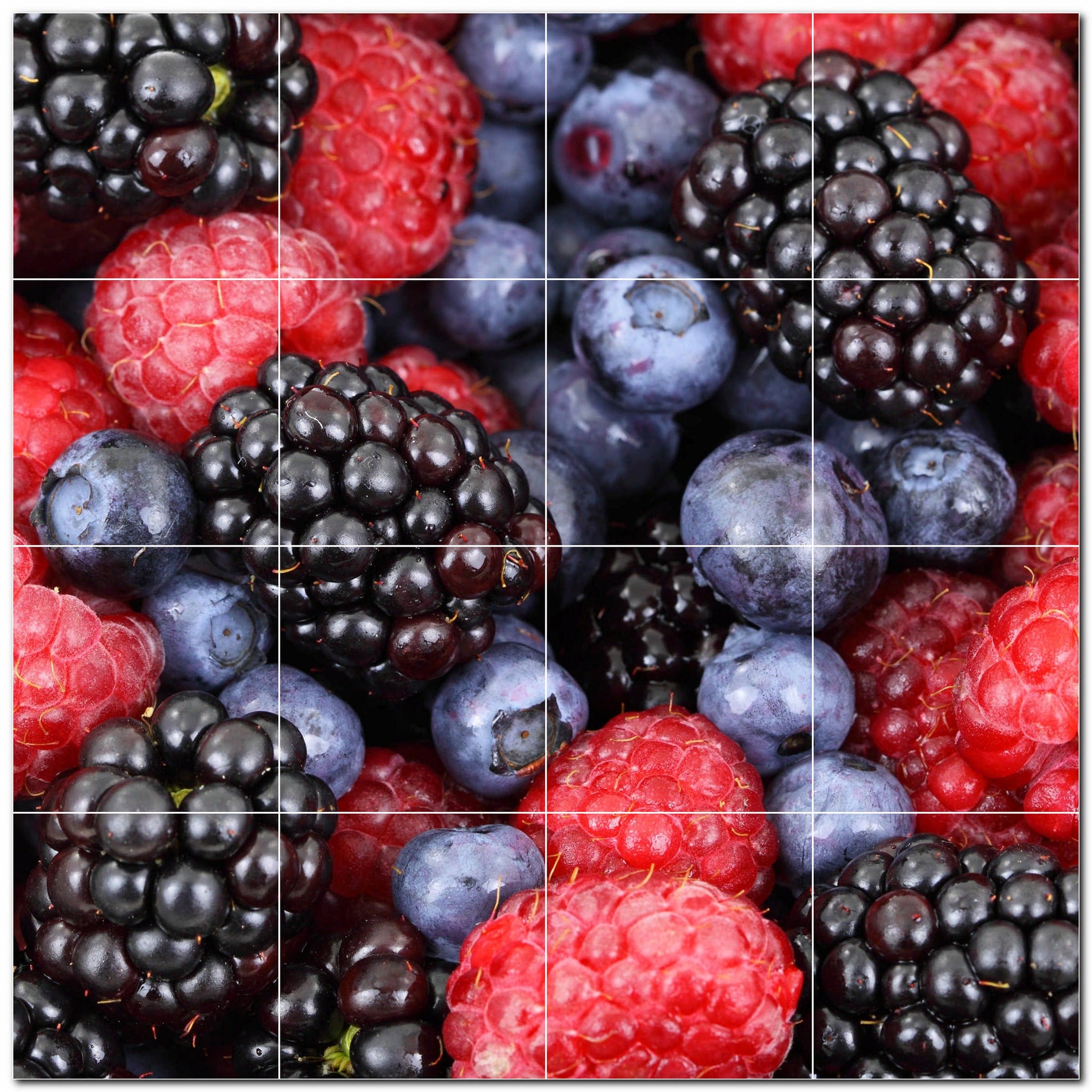 fruit ceramic tile wall mural kitchen backsplash bathroom shower p500705