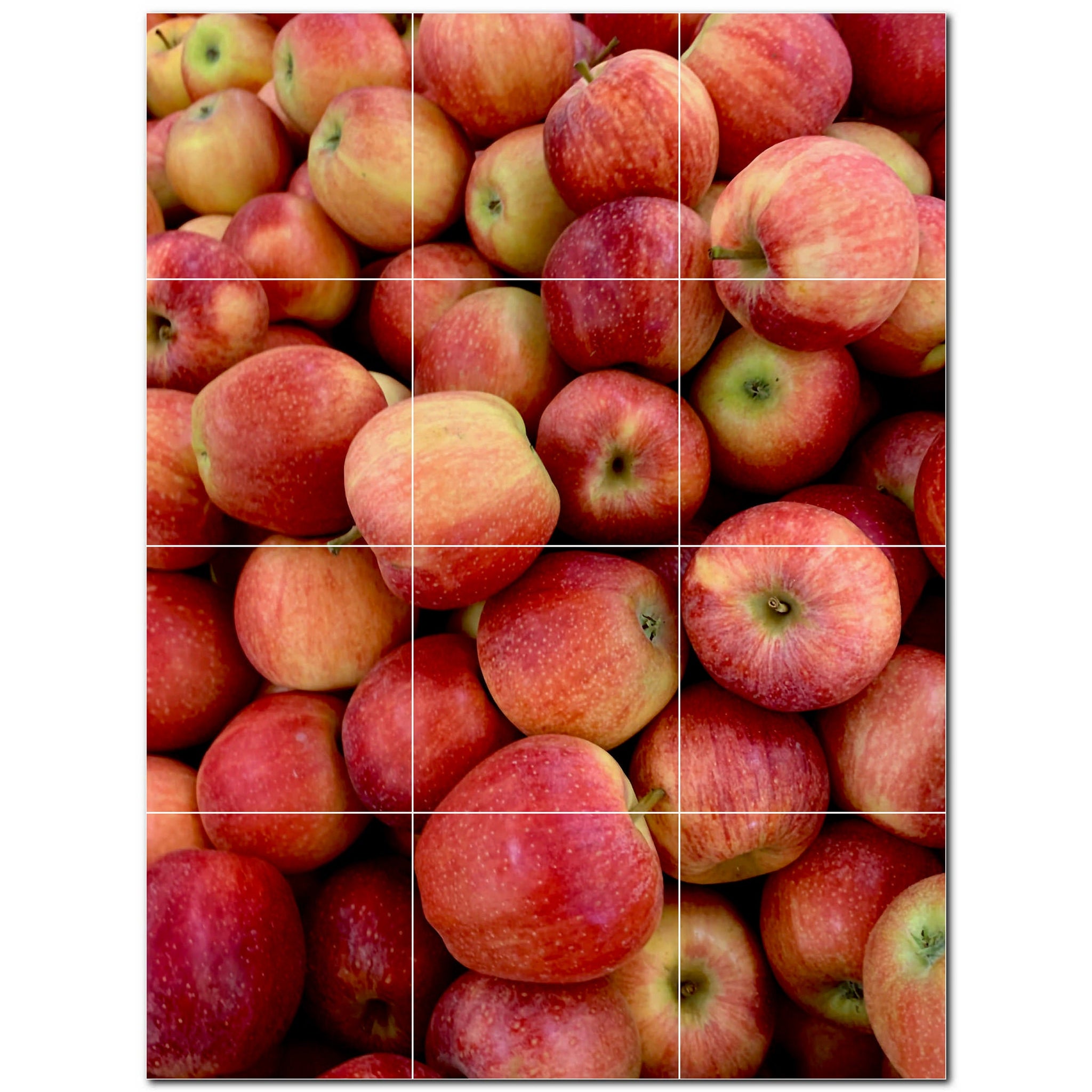 fruit ceramic tile wall mural kitchen backsplash bathroom shower p500708