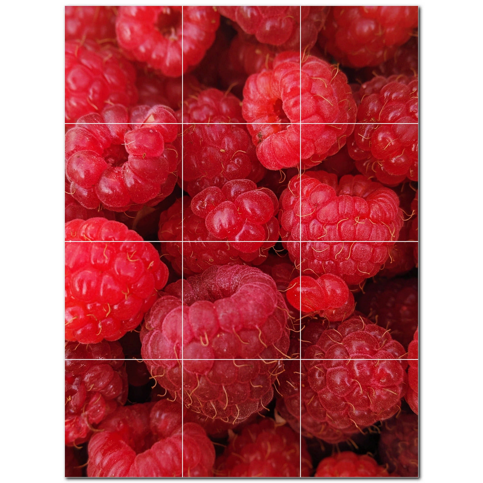 fruit ceramic tile wall mural kitchen backsplash bathroom shower p500717