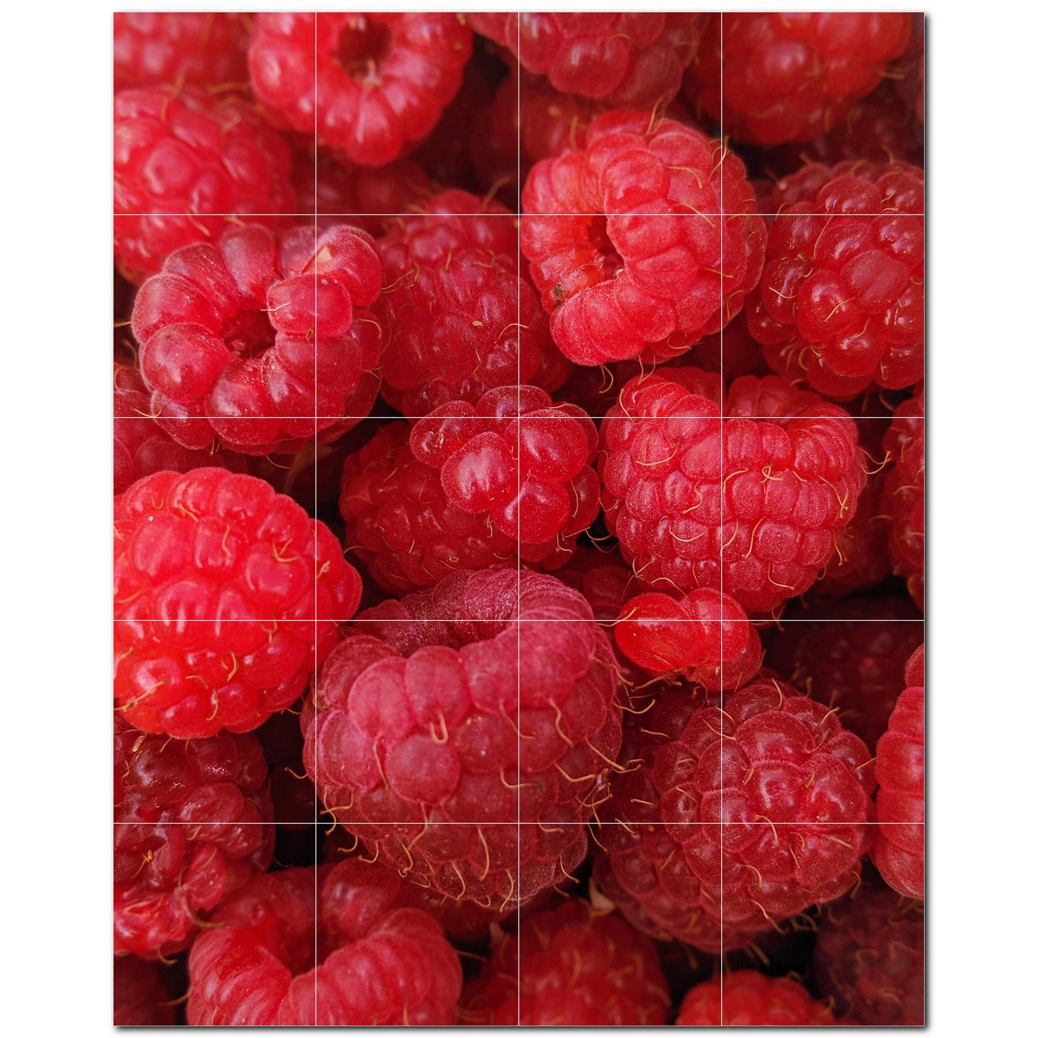 fruit ceramic tile wall mural kitchen backsplash bathroom shower p500717