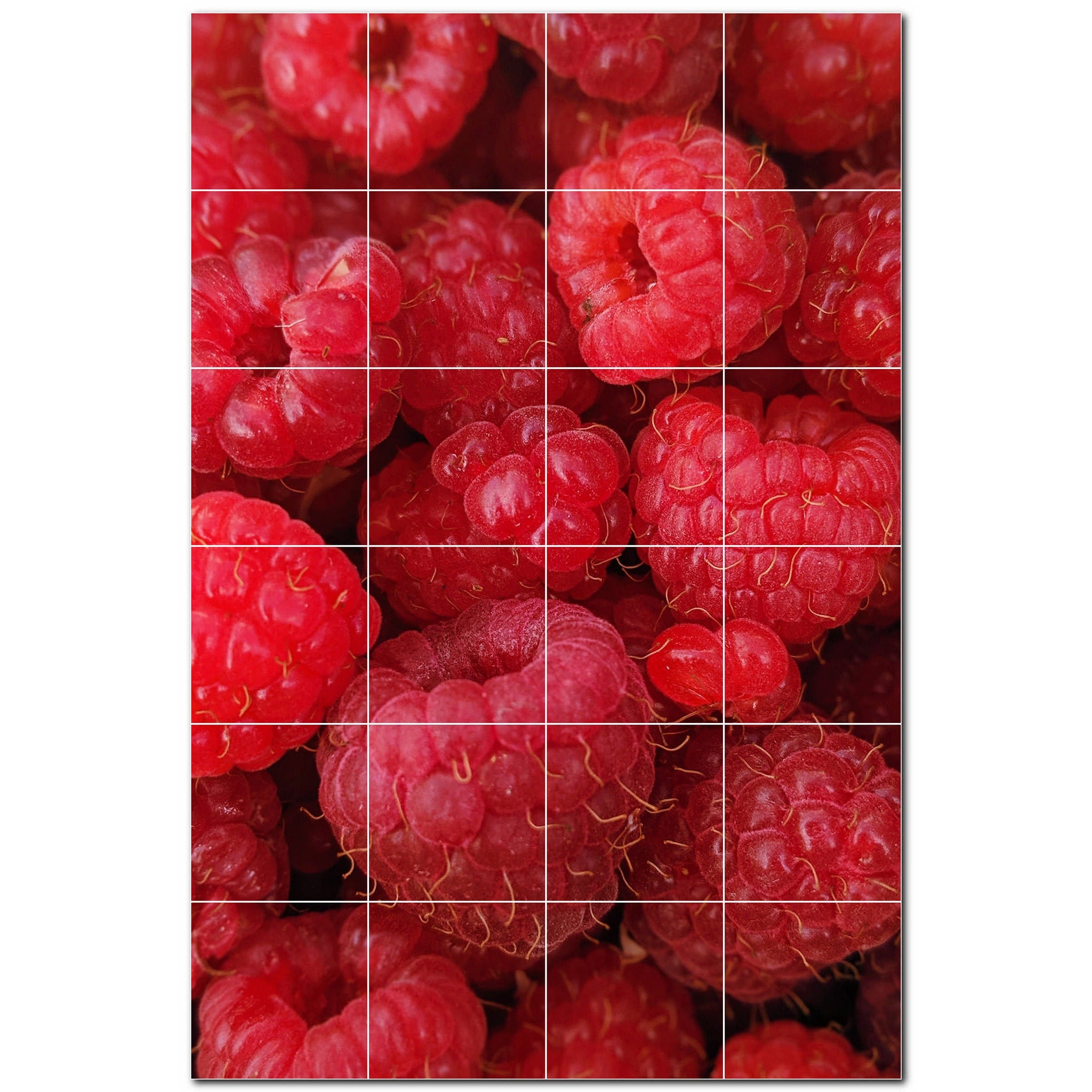 fruit ceramic tile wall mural kitchen backsplash bathroom shower p500717