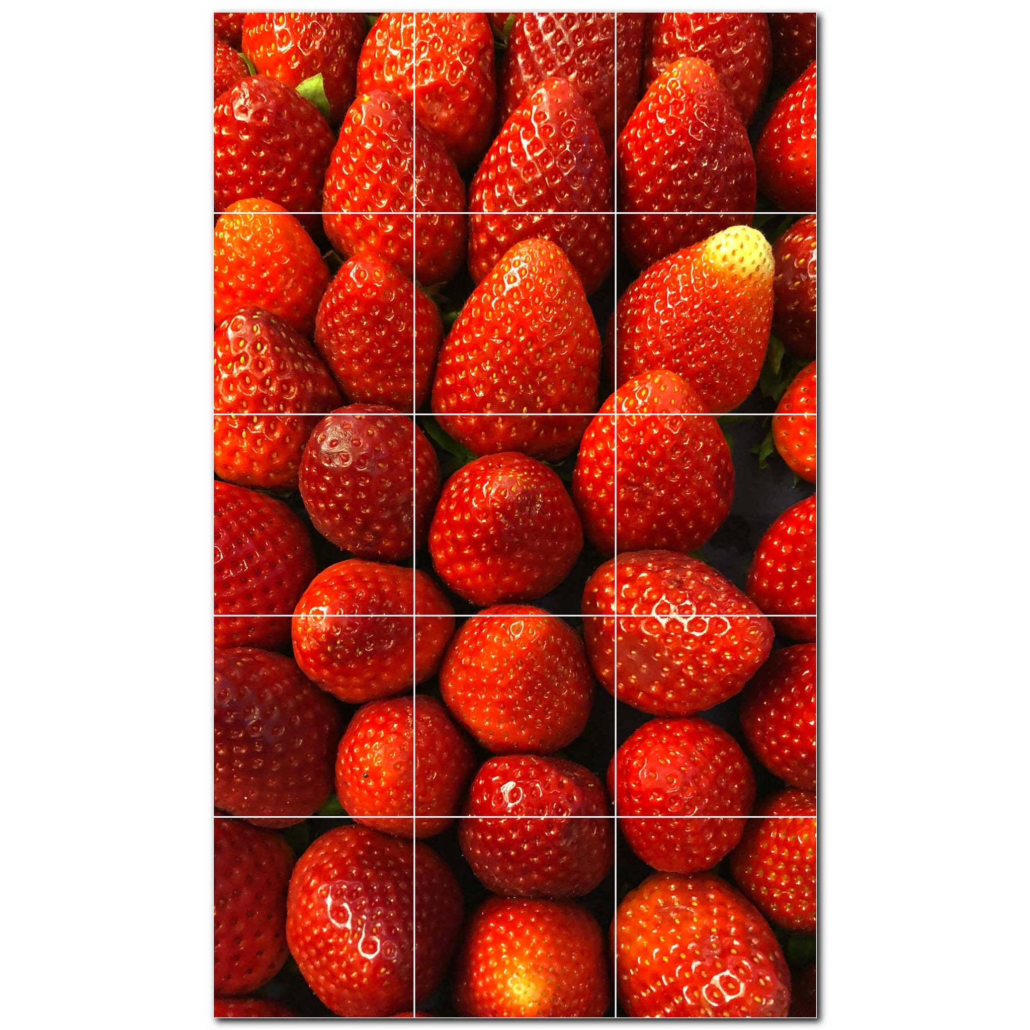 fruit ceramic tile wall mural kitchen backsplash bathroom shower p500718