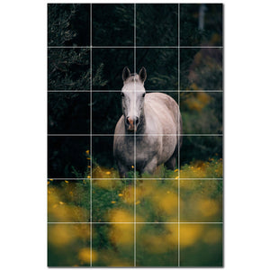 horse ceramic tile wall mural kitchen backsplash bathroom shower p500743