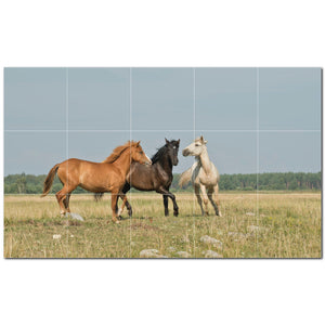 horse ceramic tile wall mural kitchen backsplash bathroom shower p500744