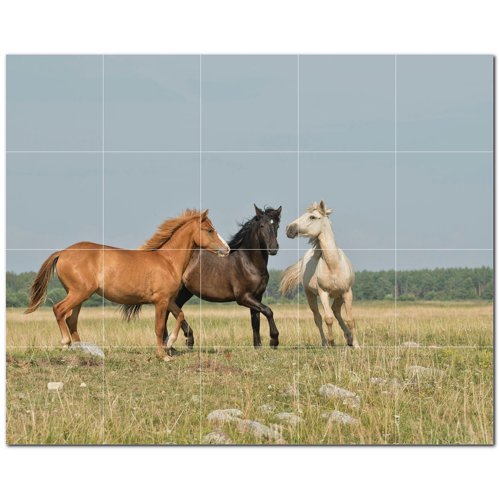 horse ceramic tile wall mural kitchen backsplash bathroom shower p500744