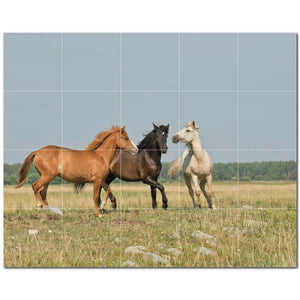 horse ceramic tile wall mural kitchen backsplash bathroom shower p500744