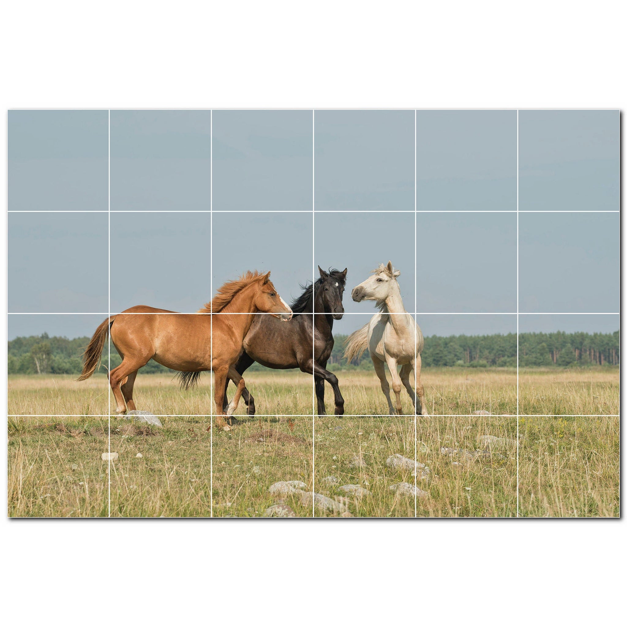 horse ceramic tile wall mural kitchen backsplash bathroom shower p500744