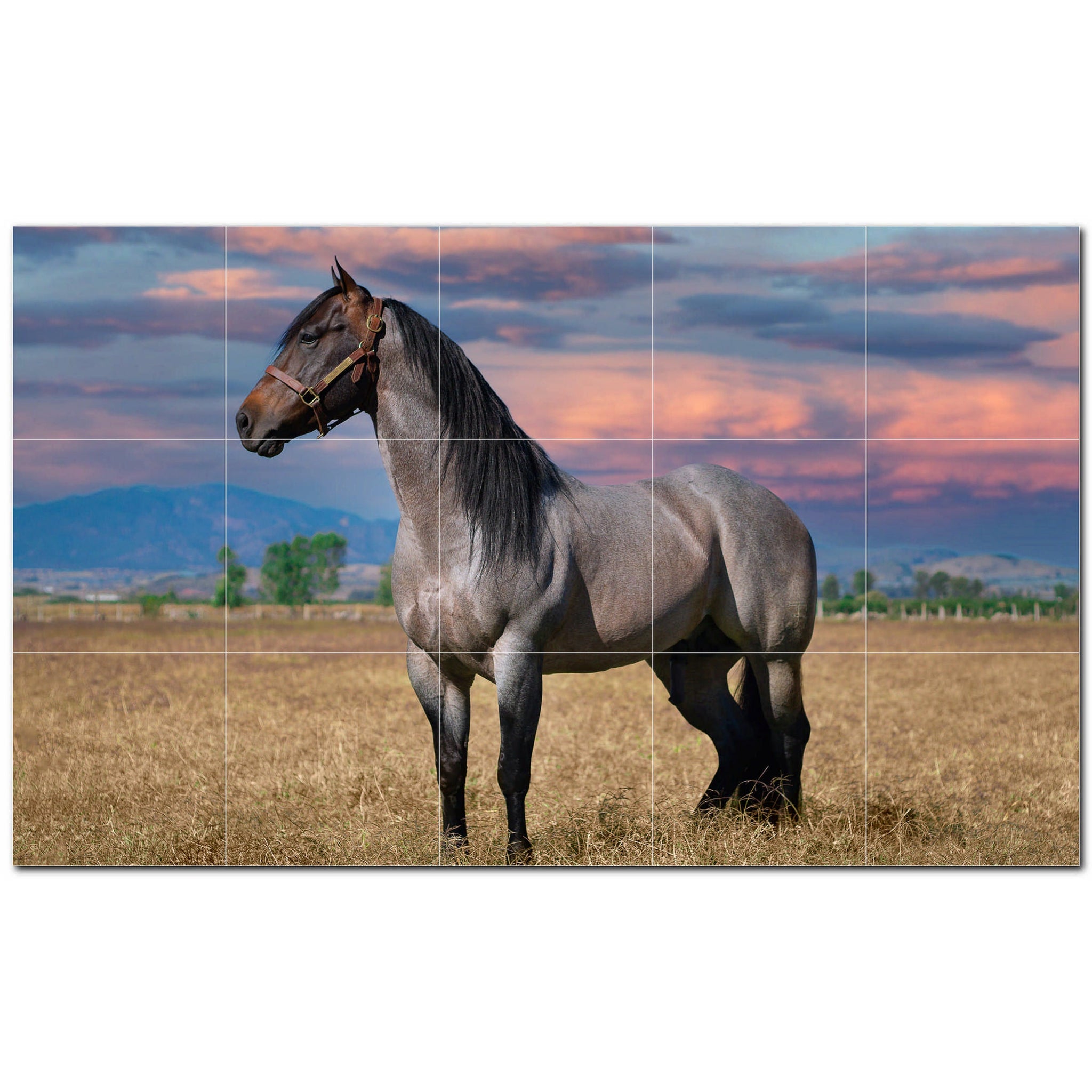 horse ceramic tile wall mural kitchen backsplash bathroom shower p500748