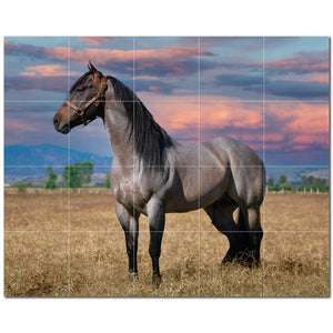 horse ceramic tile wall mural kitchen backsplash bathroom shower p500748