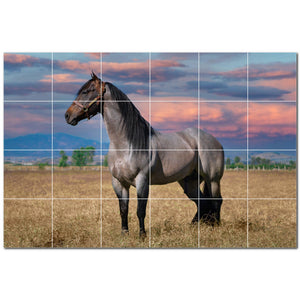 horse ceramic tile wall mural kitchen backsplash bathroom shower p500748