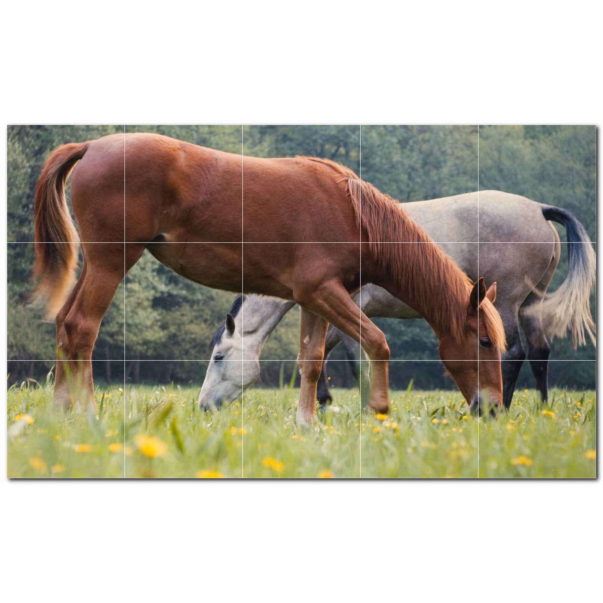 horse ceramic tile wall mural kitchen backsplash bathroom shower p500749