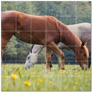 horse ceramic tile wall mural kitchen backsplash bathroom shower p500749